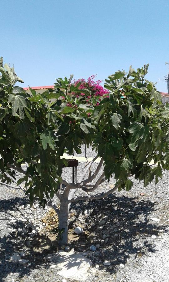 Mersinera Paradise Garden Stars House Larnaca Esterno foto